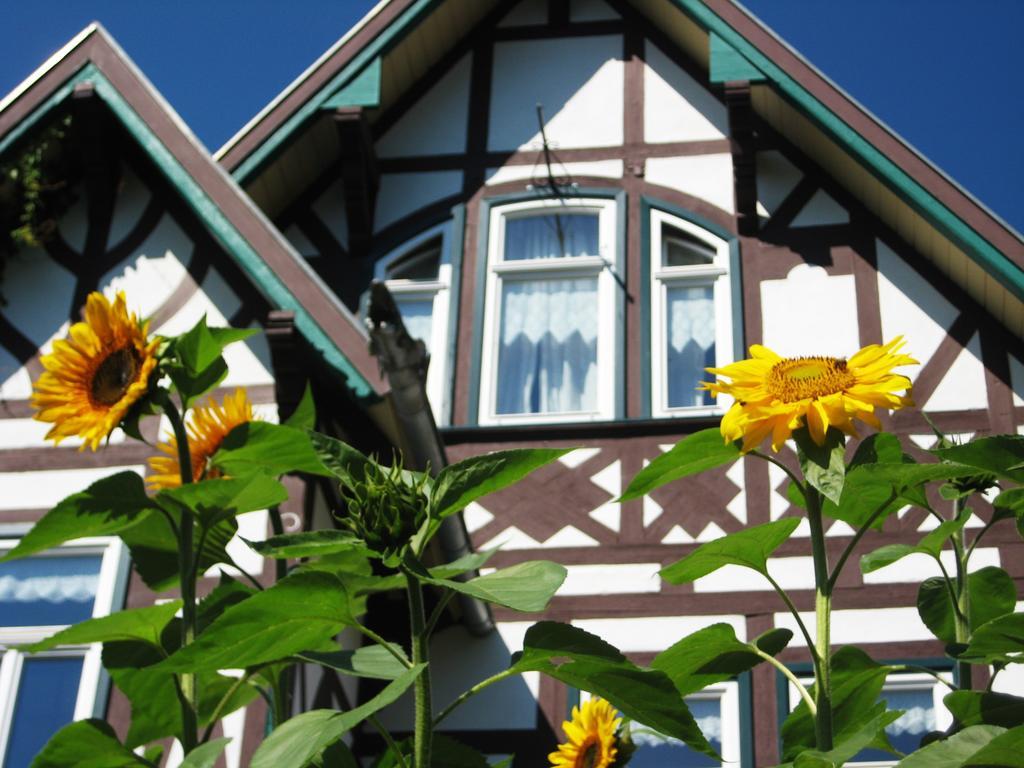 Hotel Villa Rossek Bad Liebenstein Esterno foto